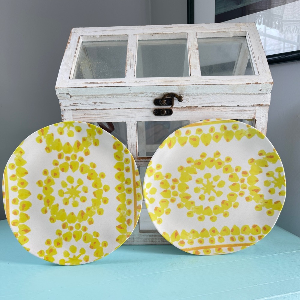 Set of 2 Anthropologie Plates